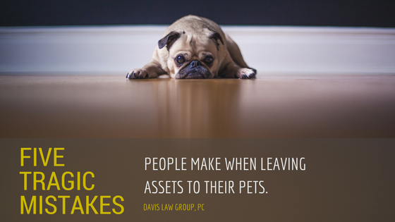 5 tragic mistakes people make when leaving their pet assets